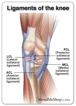 What's the Difference between a Tendon &amp; Ligament Injury?